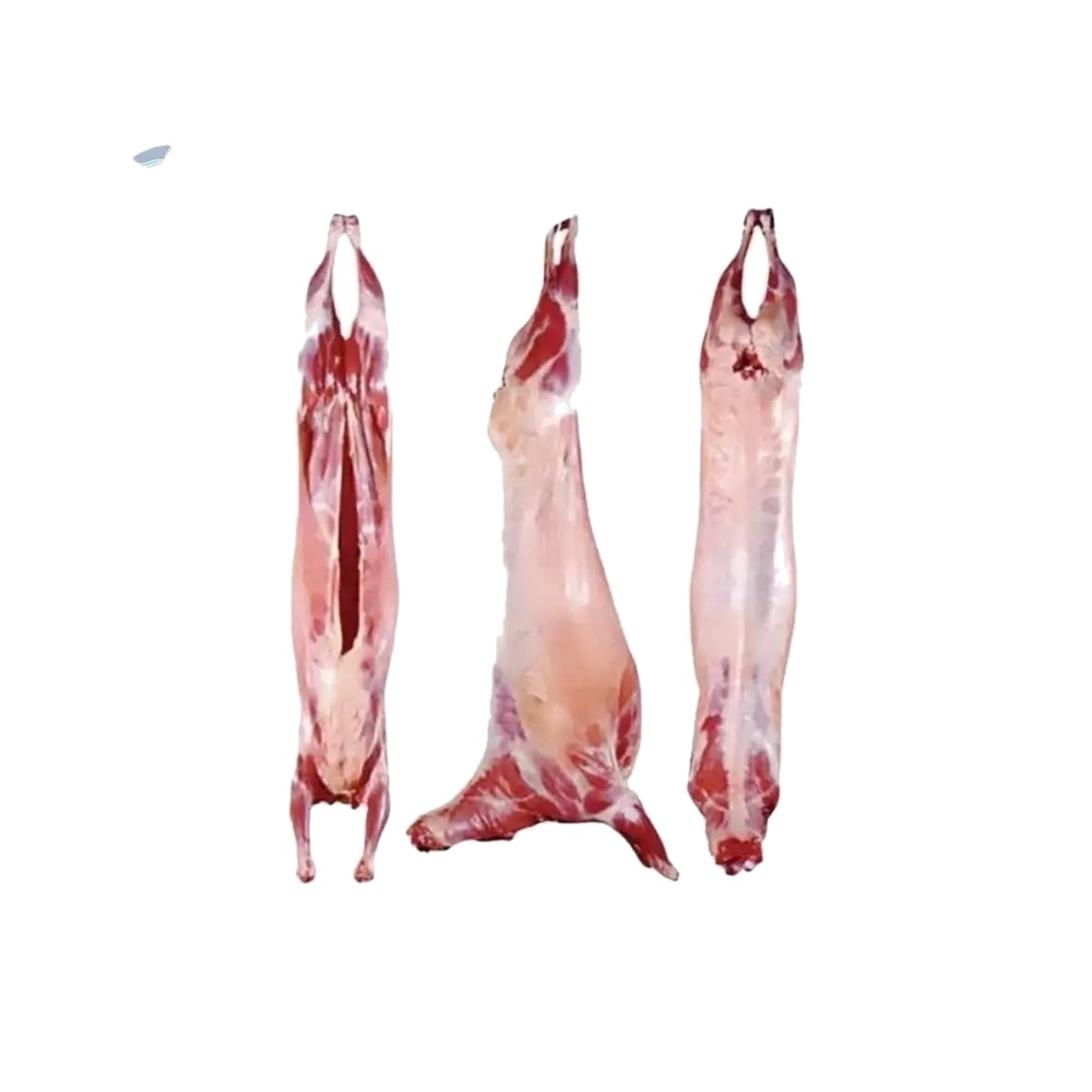 Frozen Mutton Carcass